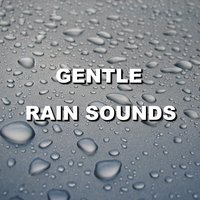 Zen Morning Rain Sounds - Deep Sleep
