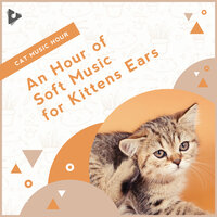 Relaxing Ambience in Nature - Cat Music Hour & Music For Cats & Music for Kittens