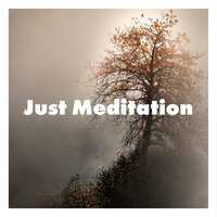 Mantra - Calming Music Sanctuary & Meditation Zen Master & Yoga Tribe