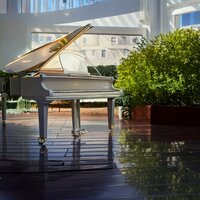Piano’s Melodic Journey - Binaural Brain Waves & Binaural Brainwave Subliminal Systems & Binaural Calm Heal Great
