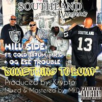 Something to Bump - Hillside