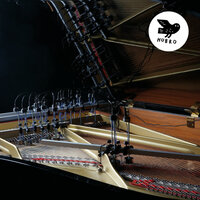 VII - Jo David Meyer Lysne