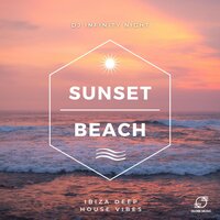 Hypnotic Waves - DJ Infinity Night