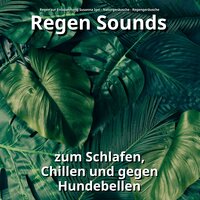Sounds für Spa - Regen zur Entspannung Susanna Igel & Naturgeräusche & Regengeräusche