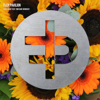 Feels Good (feat. Tom Cane) - Flux Pavilion & Tom Cane