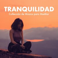 Viaje Música (Equilibrio Shiatsu Entre Mente y Cuerpo) - Relajación Maestro & Musica Tranquila Maestro & Musica Tranquila Maestro & Relajación Maestro