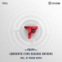 Labyrinth (Time Reverse Anthem) - Paipy & DJ Proud
