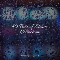 Rain, Nature, Medium, Light Wind - Ocean Sounds & Rain Drops for Sleep & Rainfall