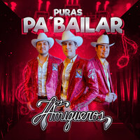 De Nuevamente - Los Amigueros de la Sierra