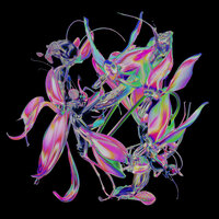 Drone - Theo Kottis