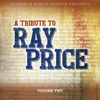 I Won't Mention It Again - Country's Family Reunion & Curtis Potter