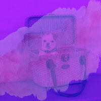 Background for Relaxing Your Dog - Calm Dog Music