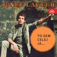 Dávný kavalír - Josef Laufer
