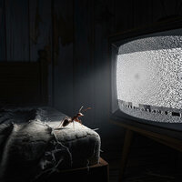 Ants - Наргиз & Somatic Moon