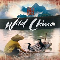 Great Wall Ensemble - Barnaby Taylor & BBC Concert Orchestra & UK Chinese Ensemble