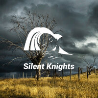 Summer Rain Shhh Storm - Silent Knights & Robert Davy & Dylan Earl Barnes & Mark Dowling