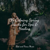 Sprouting Lilies - White Noise Sound Garden & Entspannungsmusik Oase & Especialistas de Musica para Dormir