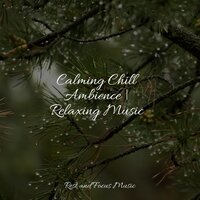 Quietness and Peace - Binaural Beats & Sounds of Nature White Noise Sound Effects & Nature Sounds Nature Music