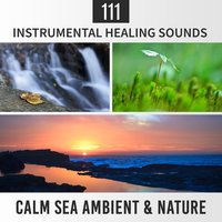 Deep Mindfulness Training - Calm Sleep Through the Night