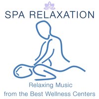 Meditation: Summer Time - Mind Entrainment Doctor