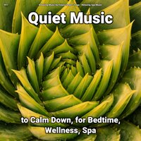 Quiet Music, Pt. 19 - Relaxing Music by Finjus Yanez & Yoga & Relaxing Spa Music