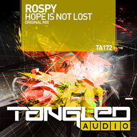 Hope Is Not Lost - Rospy