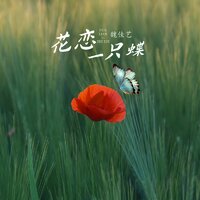花恋一只蝶 - 魏佳艺
