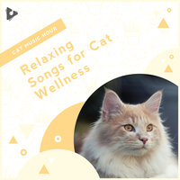 Best Instrumental for Sleep - Cat Music Hour & Relaxing Music for Cats & Relaxing Kitten Music