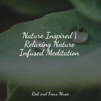 Quiet Dreaming - Avslappning Sound & Lullabies for Deep Meditation & Música de la Naturaleza