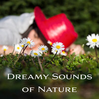 Tranquil Nature - Deep Dreams & Beautiful Deep Sleep Music Universe & Sleep & Dream Music Academy
