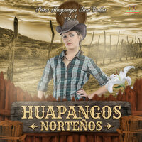 Pajaro Chogui - Cumbias Nortenas & Huapangos Norteños