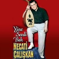 Bilemedim - Necati Çalışkan