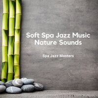 Nature Sounds - White Noise for Deep Sleep (SPA Jazz Music) - Spa Jazz Masters
