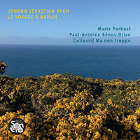 Tilge, Höchster, meine Sünden, BWV 1083 "Motet": No. 8, Wasche mich doch rein – alto - Paul-Antoine Bénos-Djian & Collectif Ma non troppo & Louis Creac'h & Johann Sebastian Bach