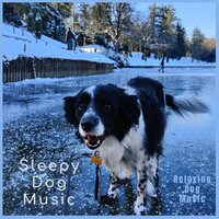 Puppy Love - Sleepy Dog Music