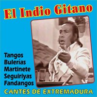 Mal de Amores (Seguiriyas) - El Indio Gitano
