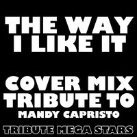 The Way I Like It - Tribute Mega Stars