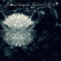 Serenade in C Minor, K388 "Nacht Musik": IV. Allegro - James Brown & Jack Brymer & Terence MacDonagh & Kenneth Cooper & Frederick Lowe & Alan Civil & Вольфганг Амадей Моцарт