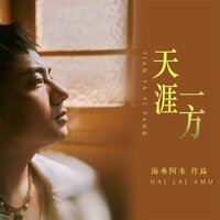 天涯一方 - 海来阿木