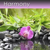 Harmony - Dr. Harry Henshaw