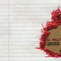 Space Bogey - DJ Wally