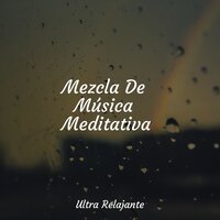 Despreocupado - Musica Para Meditar y Relajarse & Sonidos de la Naturaleza Relax & Sueño Profundo