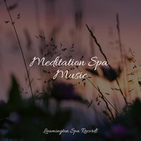 Bath Music - Academia de Música para Massagem Relaxamento & Sleep Waves & Nature Sounds Collection