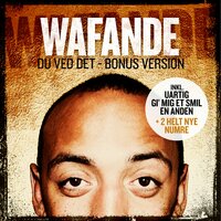 Reggae Hver Dag - Wafande