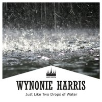 Keep on Churnin' - Wynonie Harris