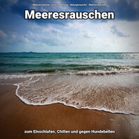 Verblümte Vibes - Meeresrauschen zur Entspannung & Naturgeräusche & Meeresrauschen