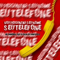 Vou Perguntar Seu Nome, Seu Telefone, Não Se Incomoda - Mc Nandinho
