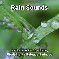 Asmr for Sleeping - Nature Sounds & Rain Sounds & Rain Sounds For Sleep