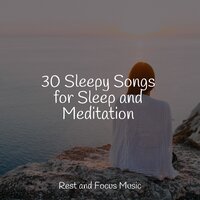 Stress Enchantments - White Noise Baby Sleep & Hipnose Natureza Sons Coleção & Ambient Forest
