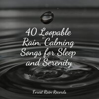 Water, Creek, Stream, Birds - The Relaxation Principle & Nature Recordings & Bedtime Baby
